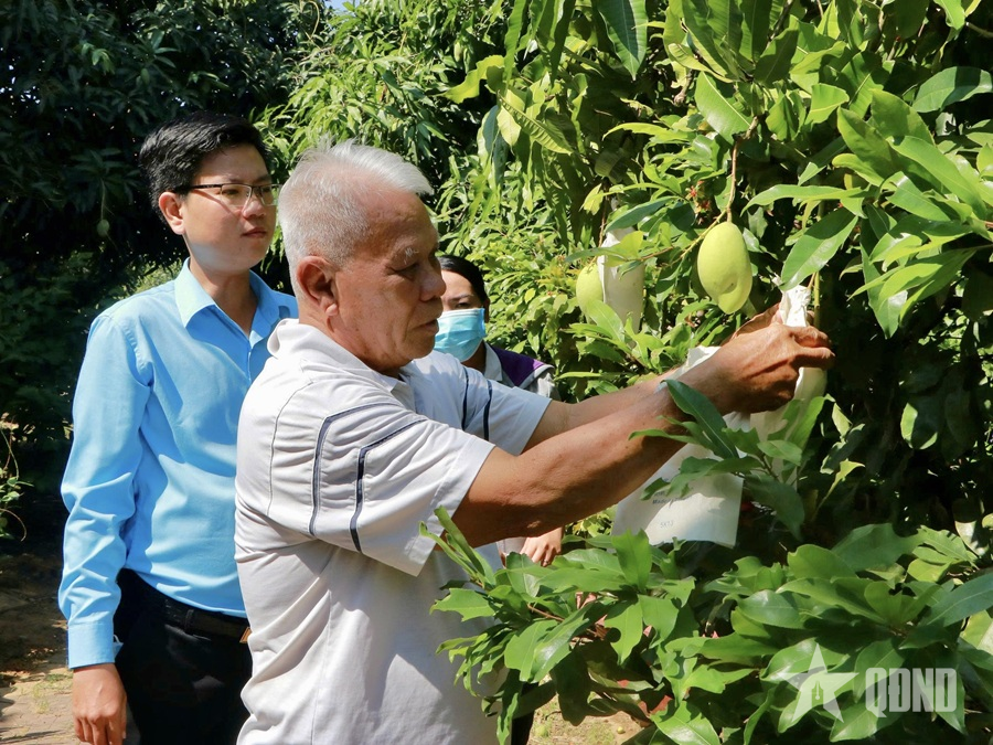 Chung tay đổi mới nông nghiệp đô thị